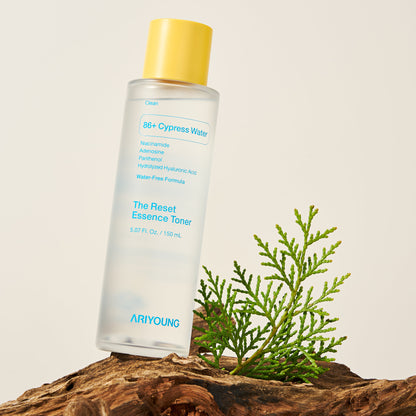 THE RESET ESSENCE TONER